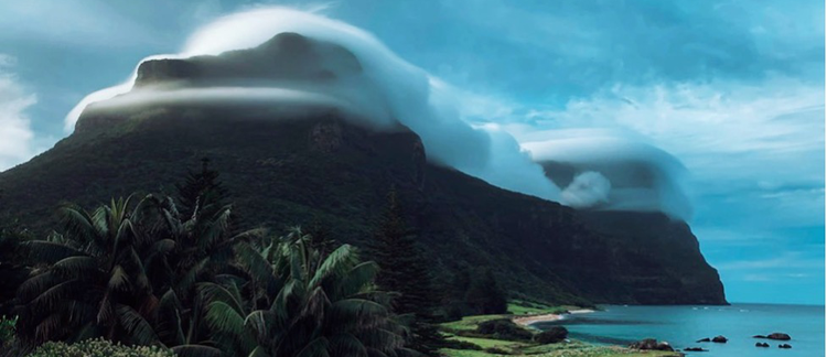 Apex Liminality: Comprehending Lord Howe Island’s Cloud Forest and Related Island Ecosystems